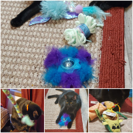 Hot 🔥 New Products....JUST IN!⅕
