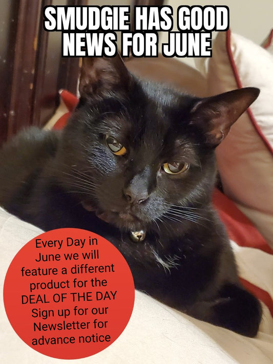 NEW DAILY DEALS FOR JUNE