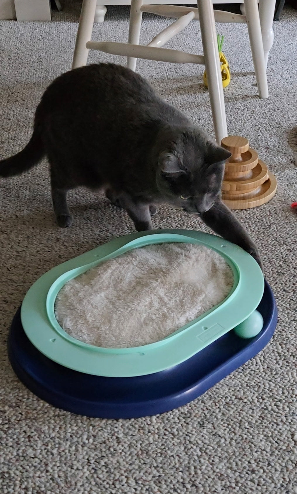 Weston from Connecticut