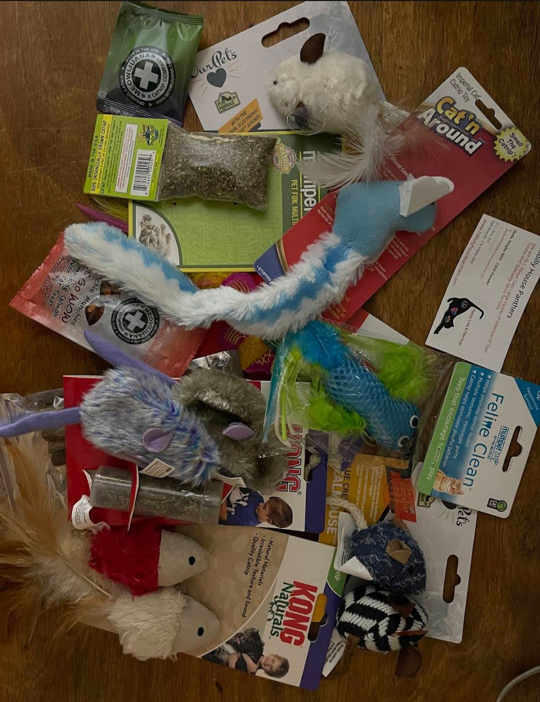 Cosmo & Nova from Florida