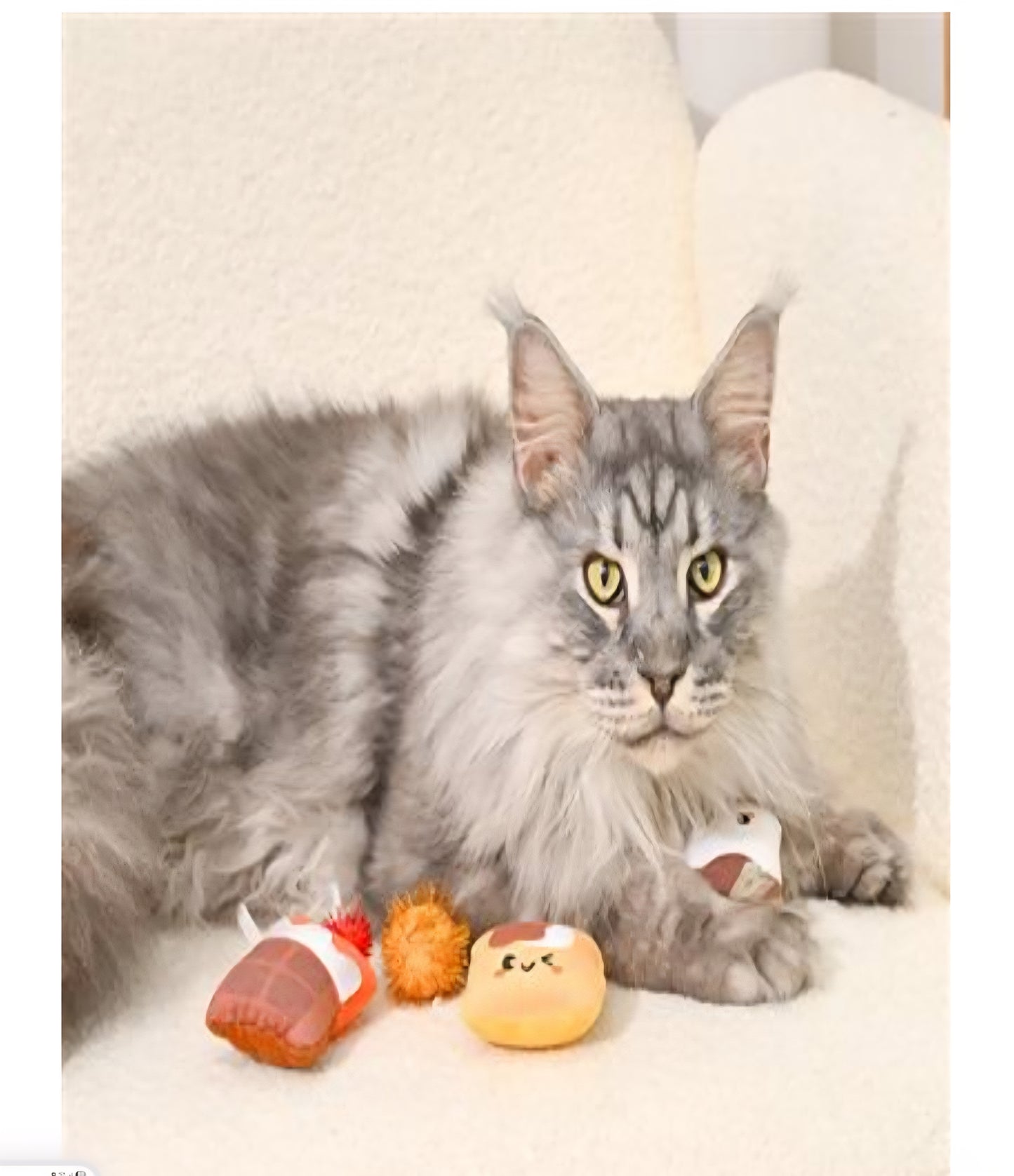 HugSmart Camping Claws S'mores