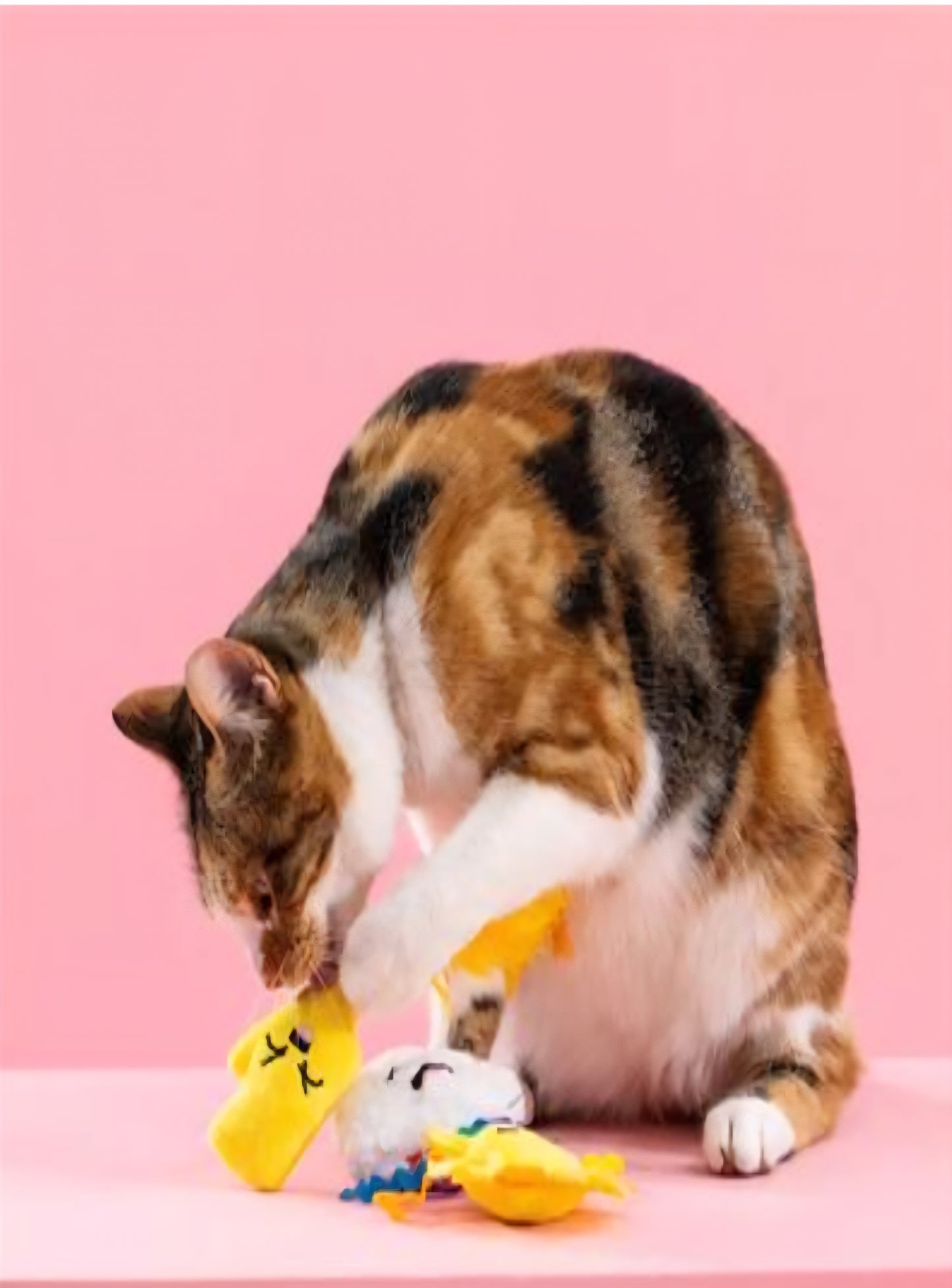 PetShop by Fringe Studio Purr-fect Weather 3 pk Cat Toy