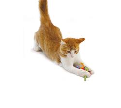 PetStages Tons of Tails Catnip Toy - Hillbilly House Panthers