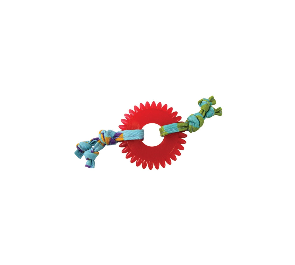 PetStages Kitty Chew Wheel - Hillbilly House Panthers
