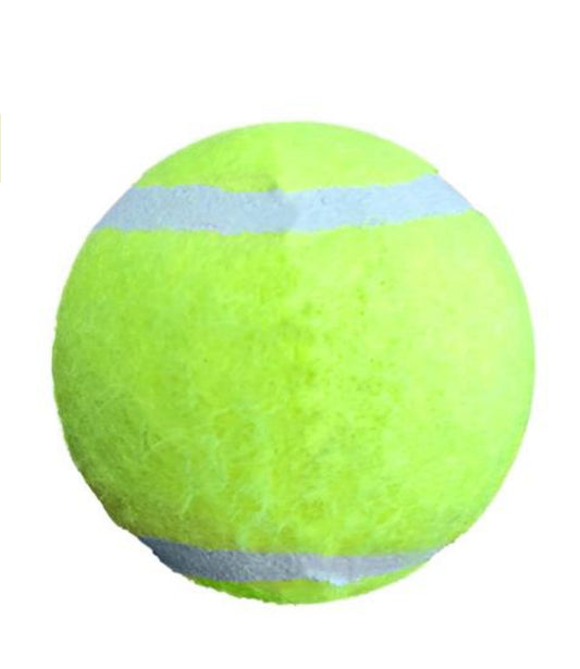 Petsport Catnip Balls 2 Pack - Hillbilly House Panthers