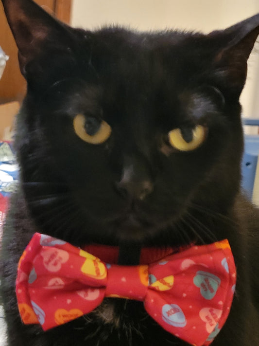 Smudgie - Hillbilly House Panthers