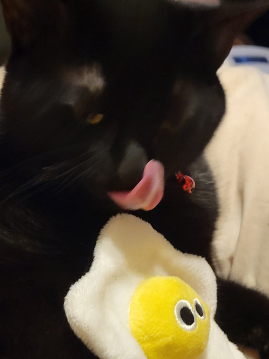 Smudgie Fried Egg - Hillbilly House Panthers