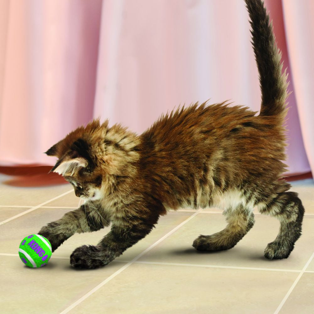 KONG Tennis Balls with Bells - Hillbilly House Panthers