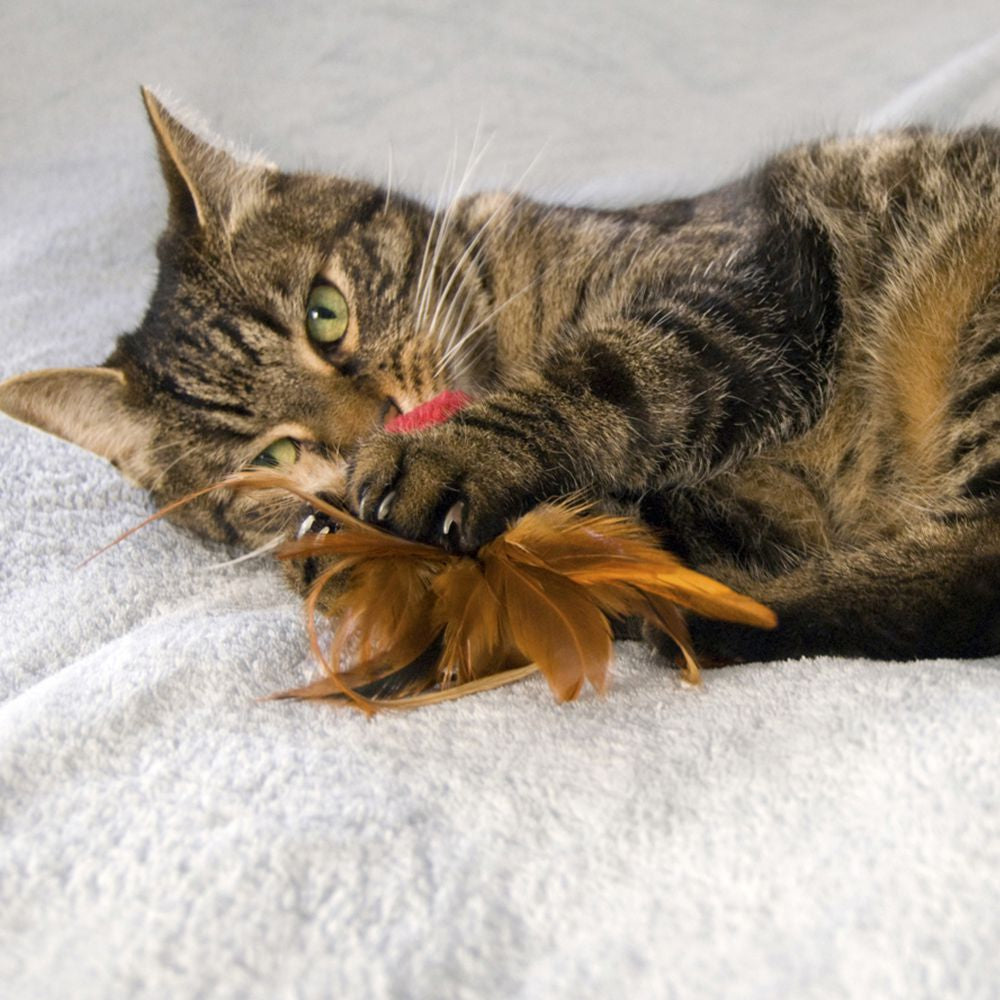 KONG Crinkle Ball with Feathers - Hillbilly House Panthers