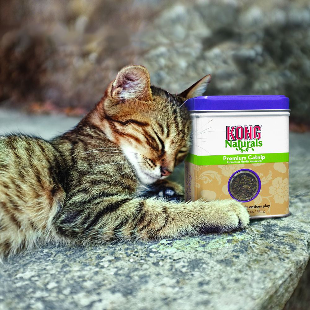 KONG Premium Catnip - Hillbilly House Panthers