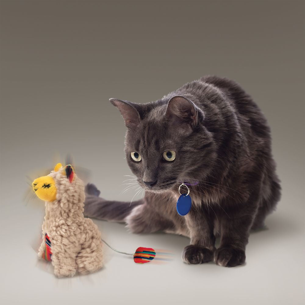 KONG Softies Buzzy Llama - Hillbilly House Panthers