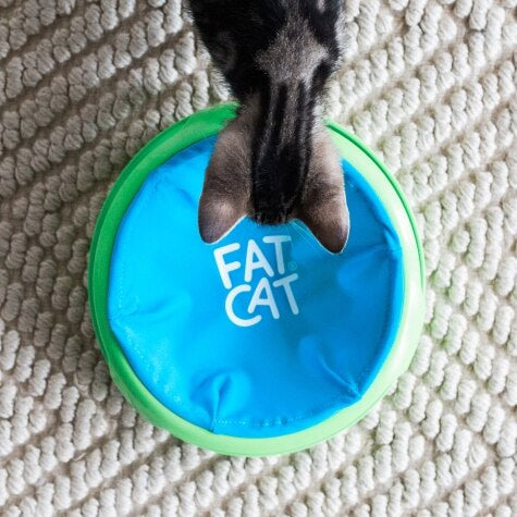 Fat Cat Big Mama Pounce O Rama - Hillbilly House Panthers