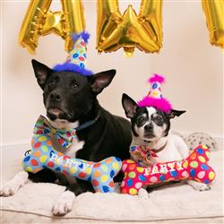 Huxley and Kent Party Time Pink Bow Tie - Hillbilly House Panthers