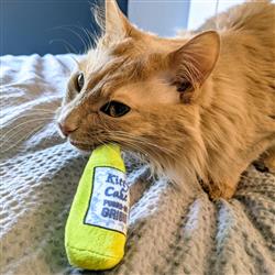 Kittybelles Kitty Cake Plush Booze Cat Toy - Hillbilly House Panthers