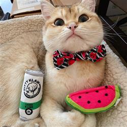 Kittybelles Watermelon - Hillbilly House Panthers