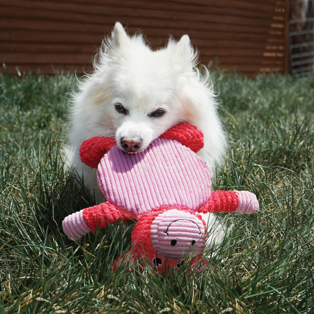 KONG Low Stuff Crackle Tummiez Raccoon Large - Hillbilly House Panthers