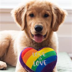 Lulubelles Pride Heart Small - Hillbilly House Panthers
