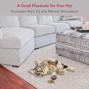 Mad Cat Batty Bulb Treat Dispenser - Hillbilly House Panthers