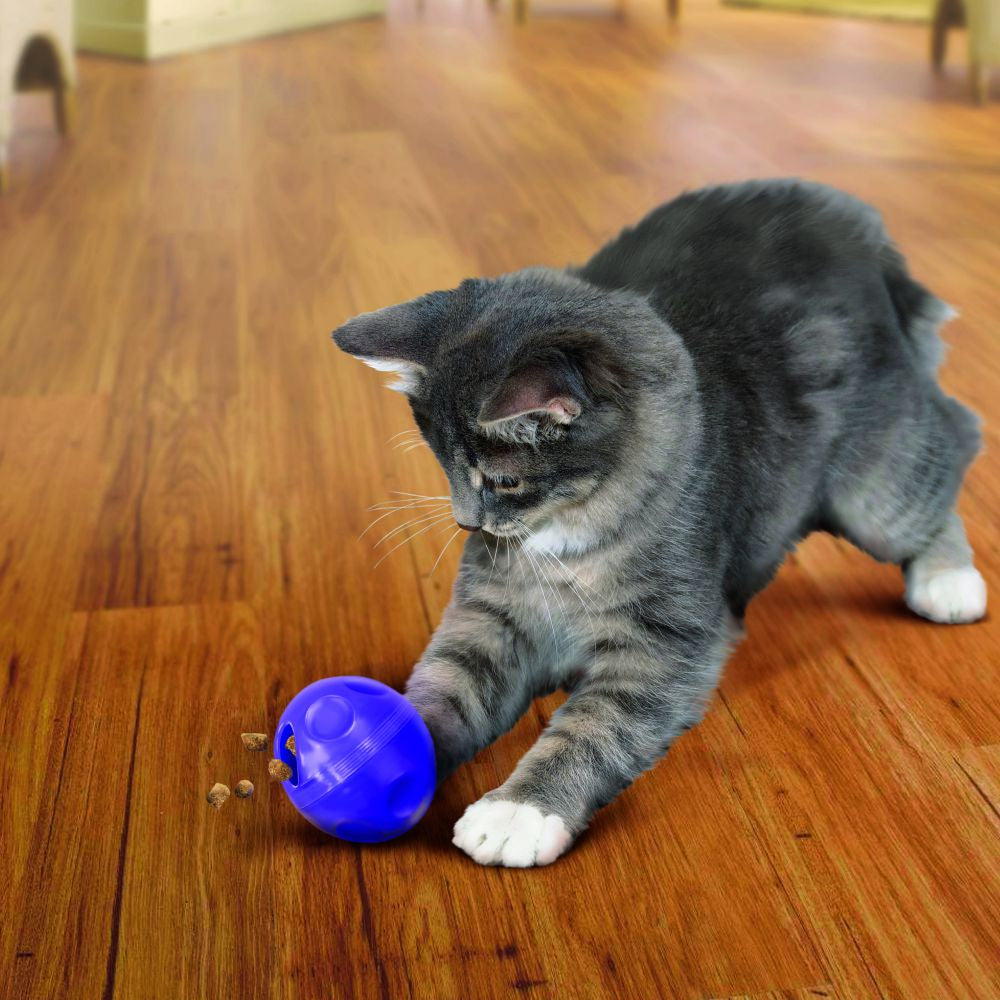 KONG Cat Treat Ball - Hillbilly House Panthers