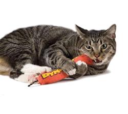 PetStages Green Magic Dynamite Catnip Toy
