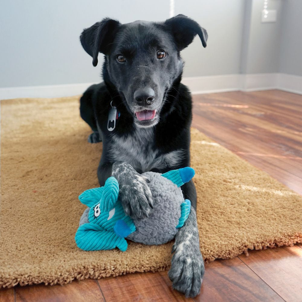 KONG Sherps Floofs Moose Medium - Hillbilly House Panthers