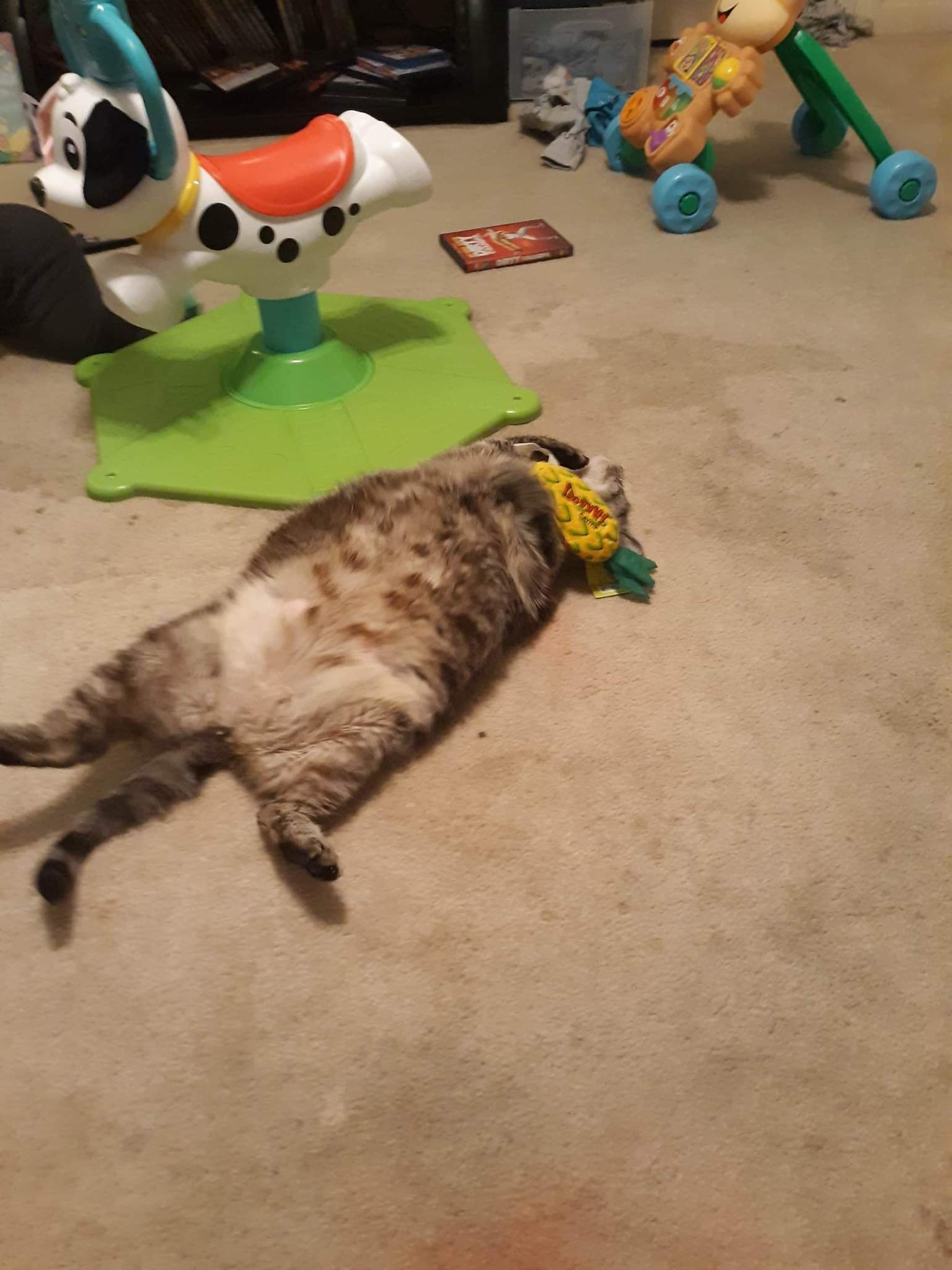 WILLOW FROM TENNESEE - Hillbilly House Panthers