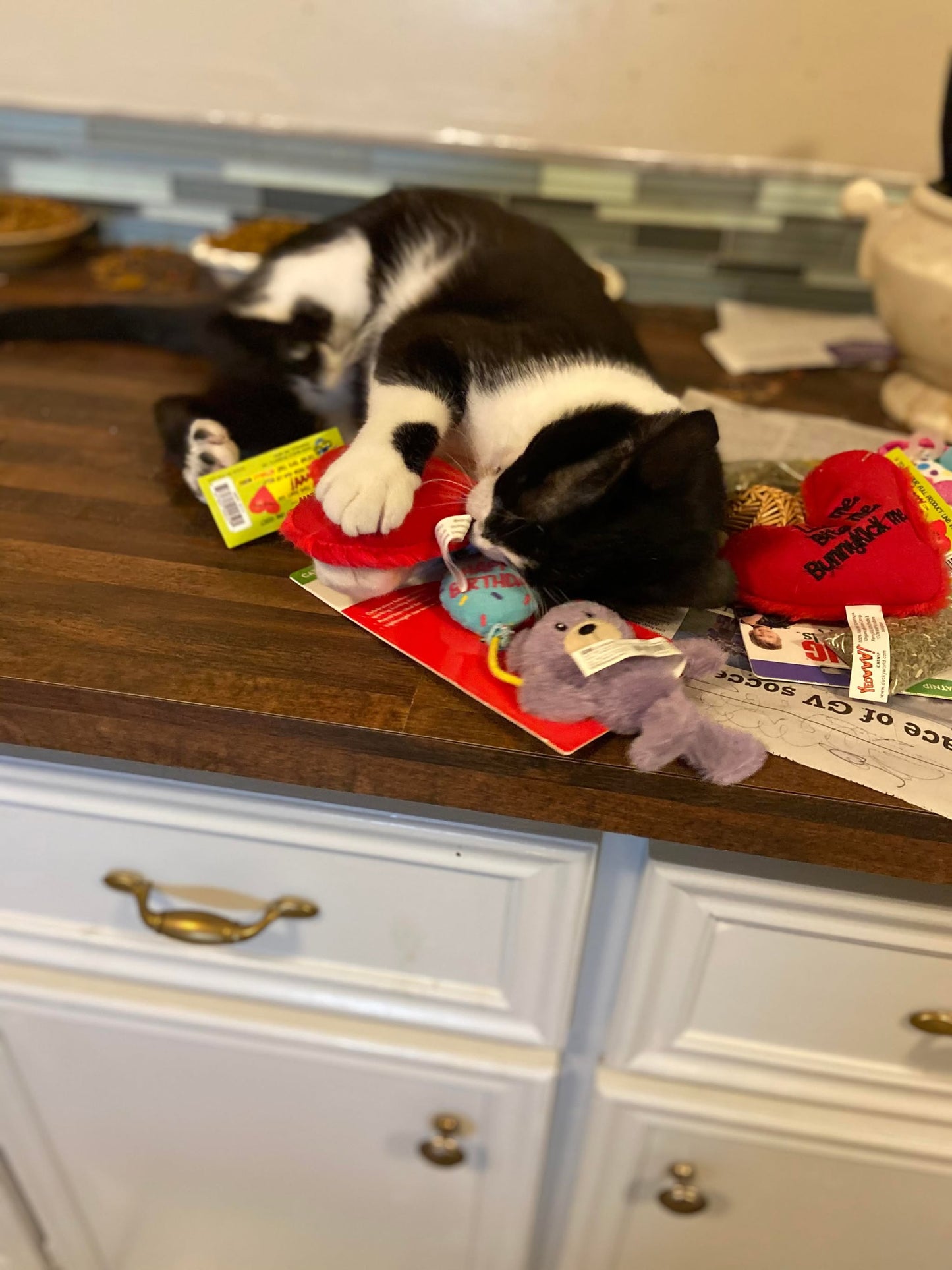 Mayham from Michigan