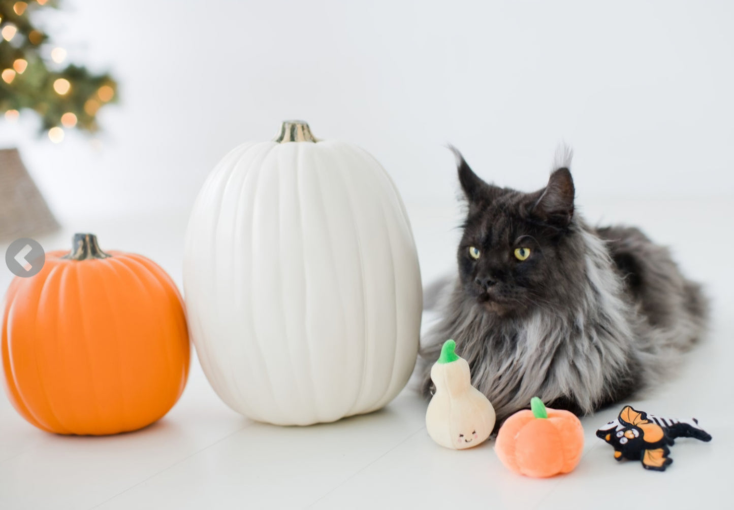 Pearhead Oh My Gourd Cat Toy Set