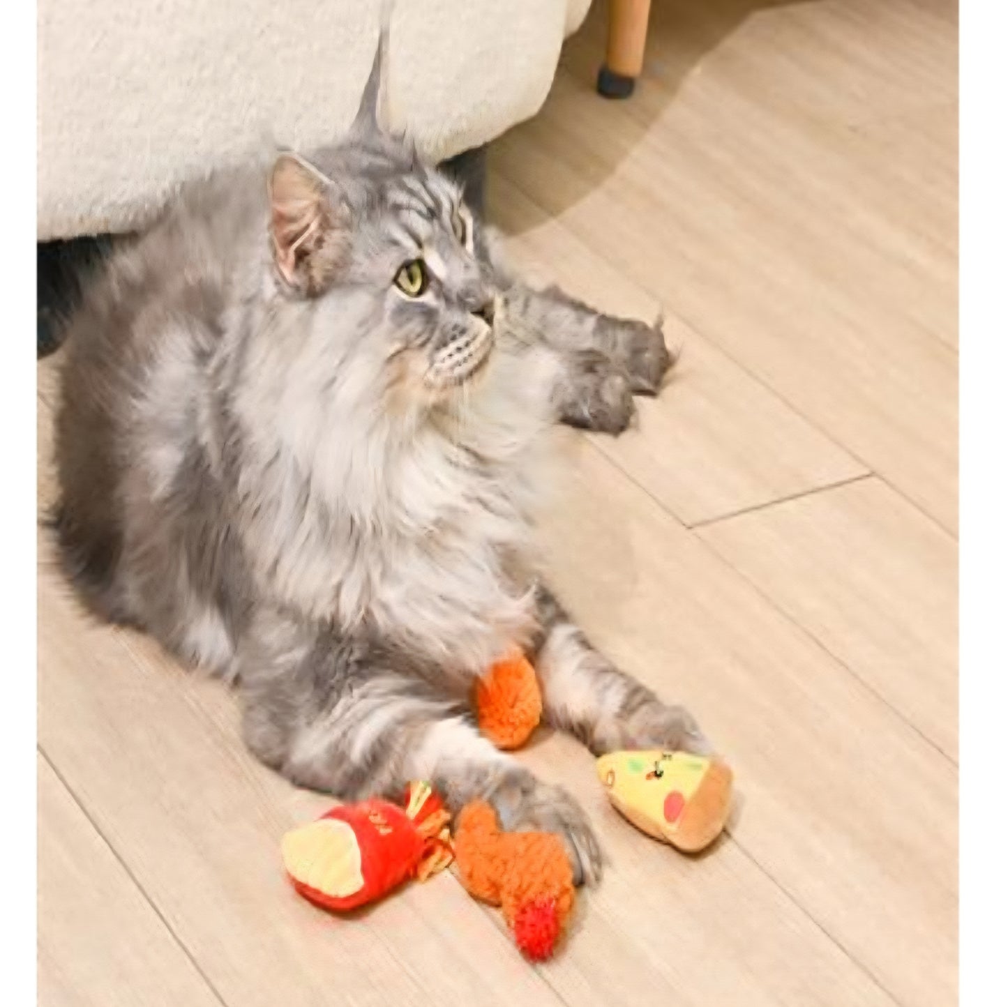 HugSmart Kitten Party Purrfect Bites