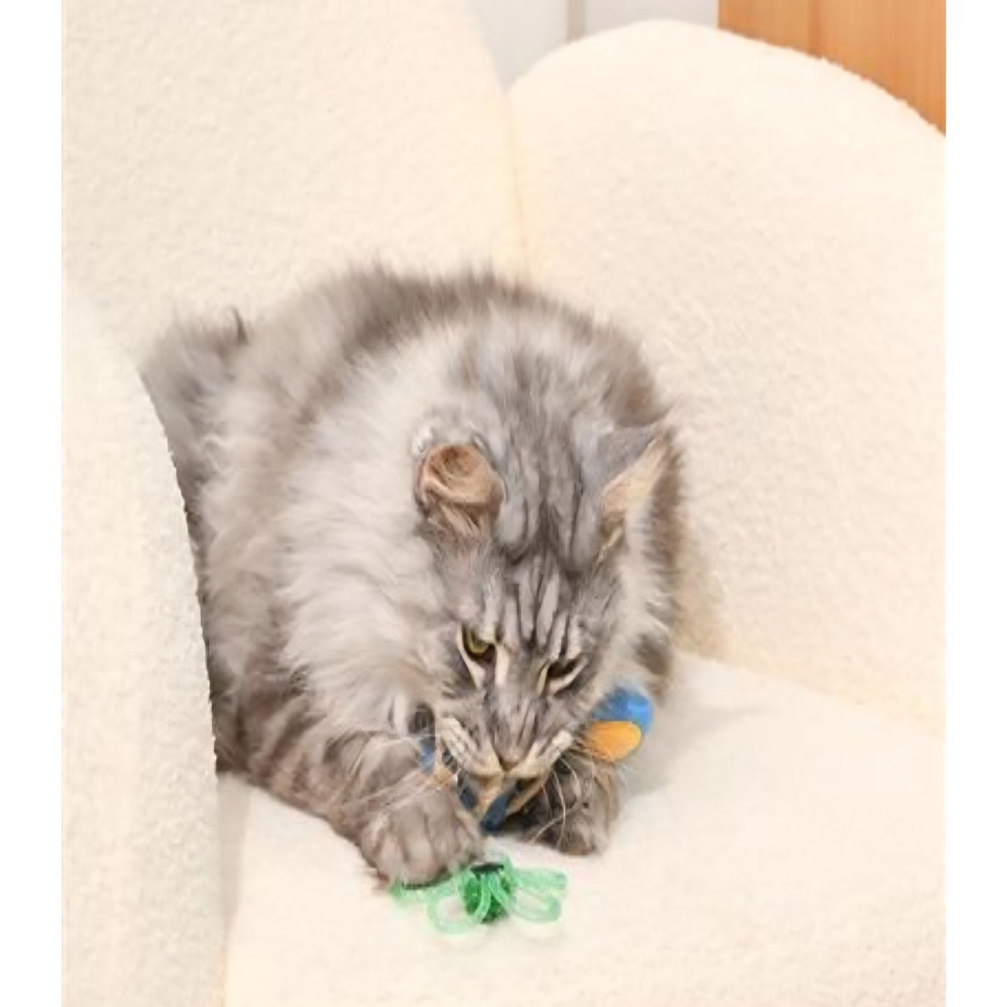 HugSmart Camping Claws Meow Camps