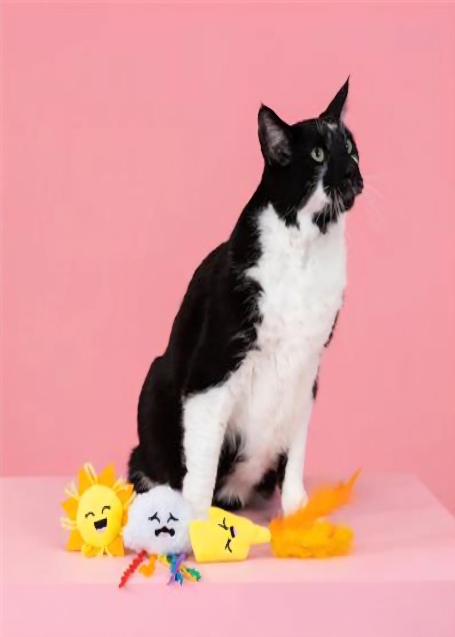 PetShop by Fringe Studio Purr-fect Weather 3 pk Cat Toy