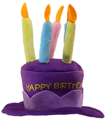 Petsport "Happy Birthday" Party Hat - Hillbilly House Panthers