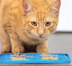 Pet Zone Boredom Busterz Blue Delight for Cats or Dogs - Hillbilly House Panthers
