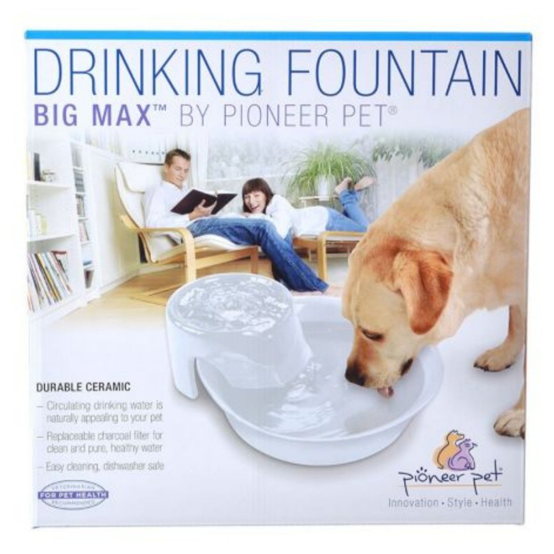 Pioneer Pet Big Max Ceramic White Fountain - Hillbilly House Panthers