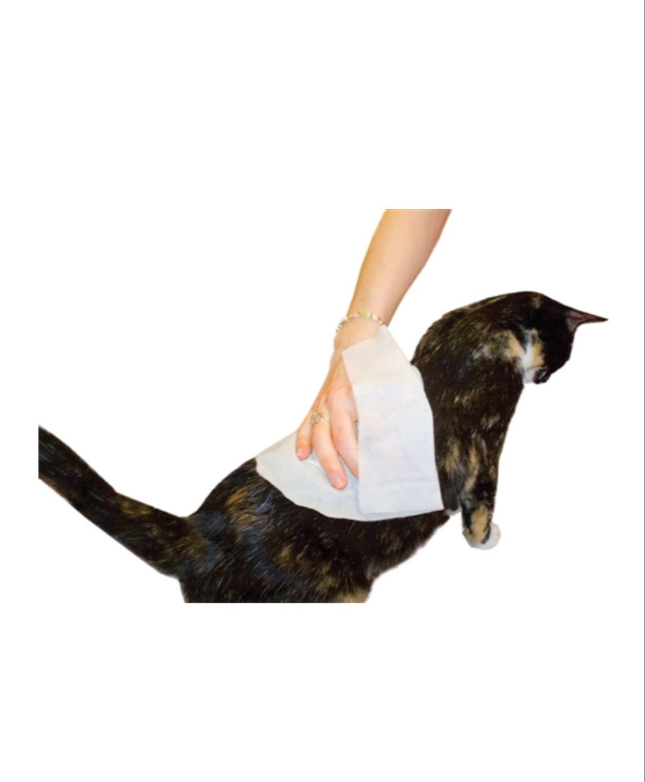 Petkin Kitty Wipes - Hillbilly House Panthers