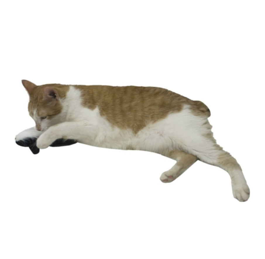 Imperial Cat Stinker Refillable Catnip Toy - Hillbilly House Panthers