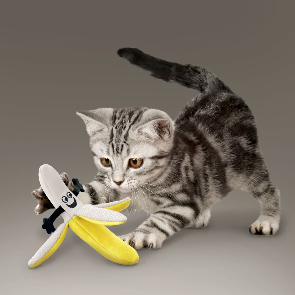 KONG Better Buzz Banana - Hillbilly House Panthers