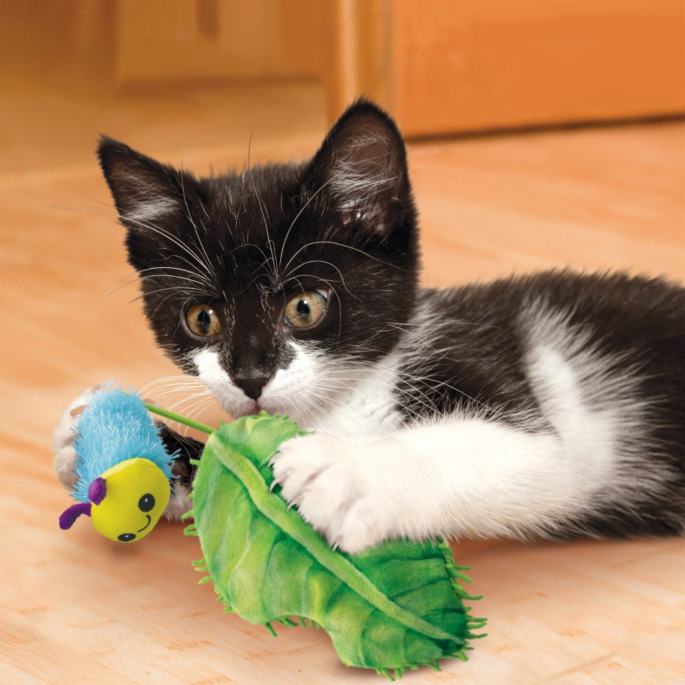 KONG Flingaroo Caterpillar - Hillbilly House Panthers