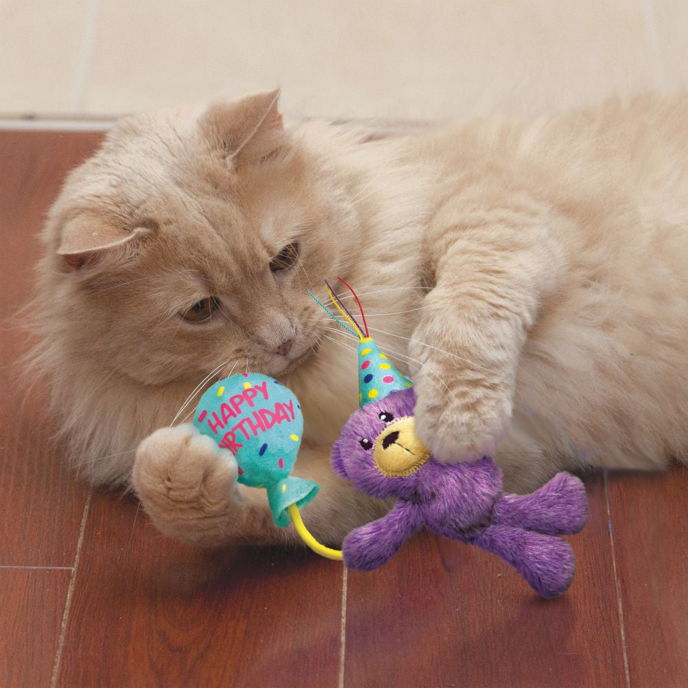 KONG Cat Occasion Birthday Teddy - Hillbilly House Panthers