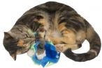 Imperial Cat Jitters - Hillbilly House Panthers