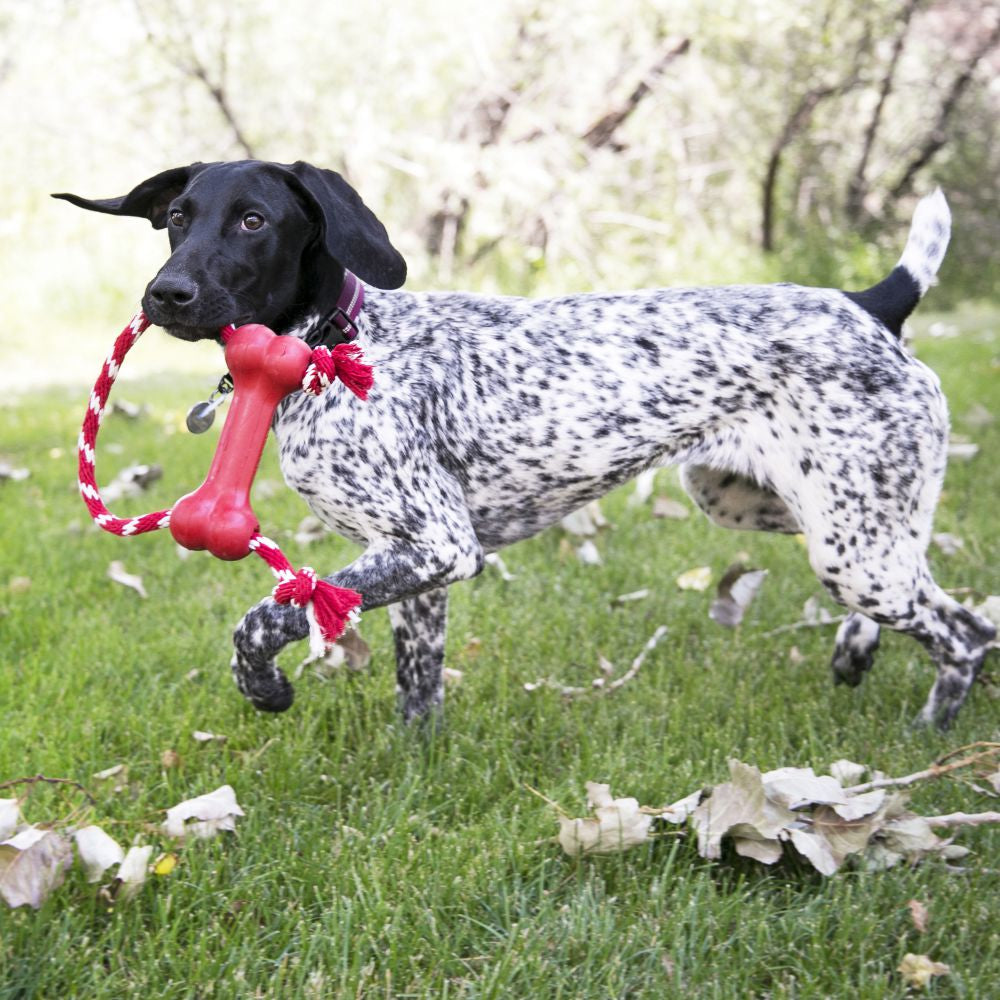KONG Goodie Bone with Rope X-Small - Hillbilly House Panthers