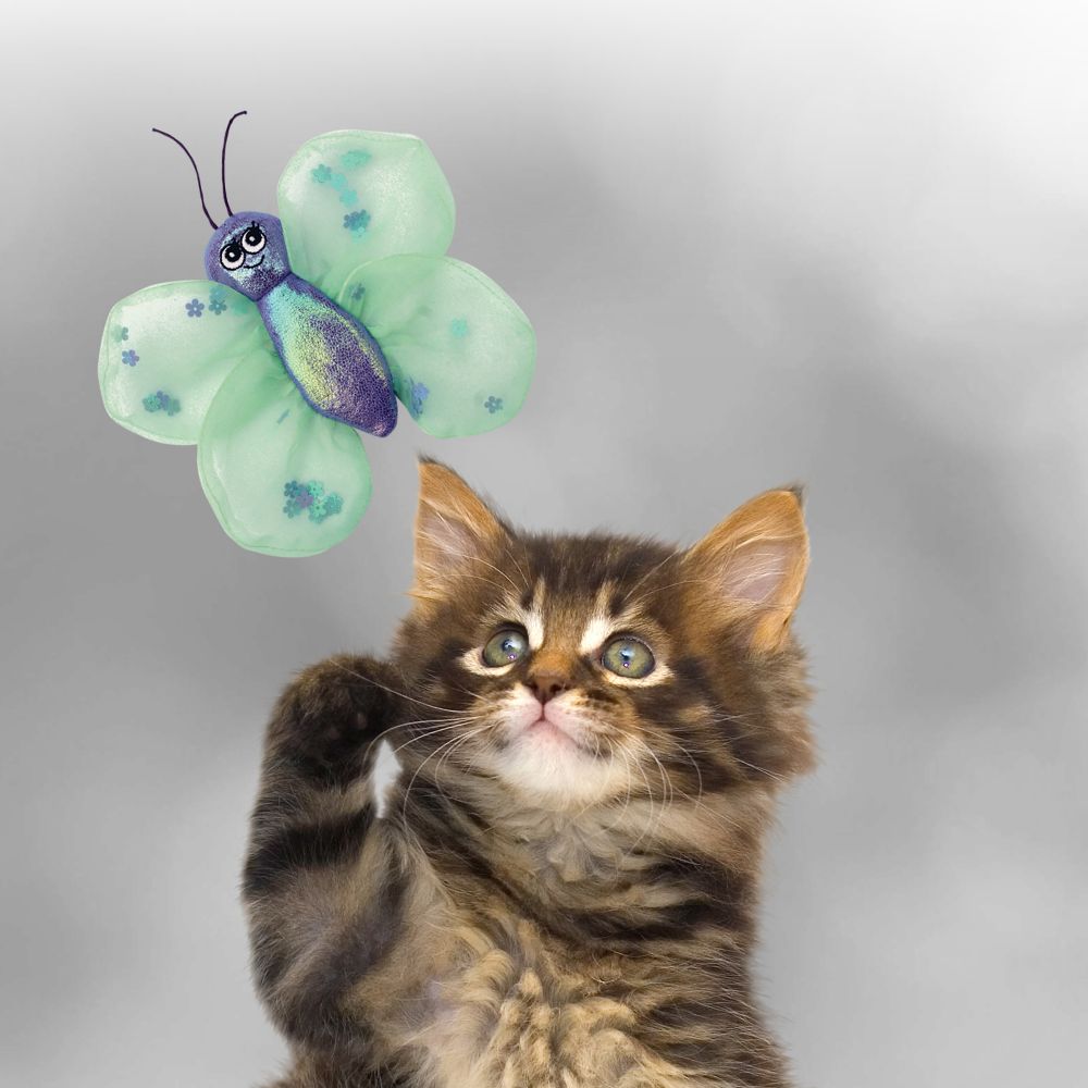 KONG Better Buzz Butterfly - Hillbilly House Panthers