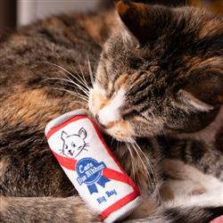 Kittybelles Blue Ribbon - Hillbilly House Panthers