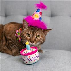 Kittybelles Mewow Cake - Hillbilly House Panthers