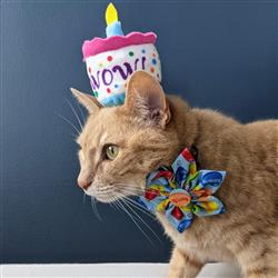 Kittybelles Mewow Cake - Hillbilly House Panthers