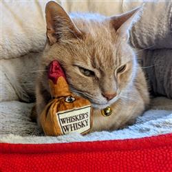 Kittybelles Whisker's Whiskey - Hillbilly House Panthers