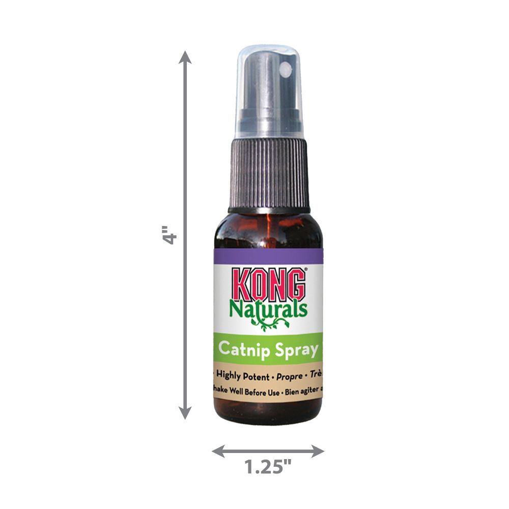 KONG Catnip Spray - Hillbilly House Panthers