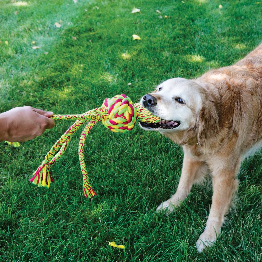 KONG Wubba Weaves with Rope Small - Hillbilly House Panthers