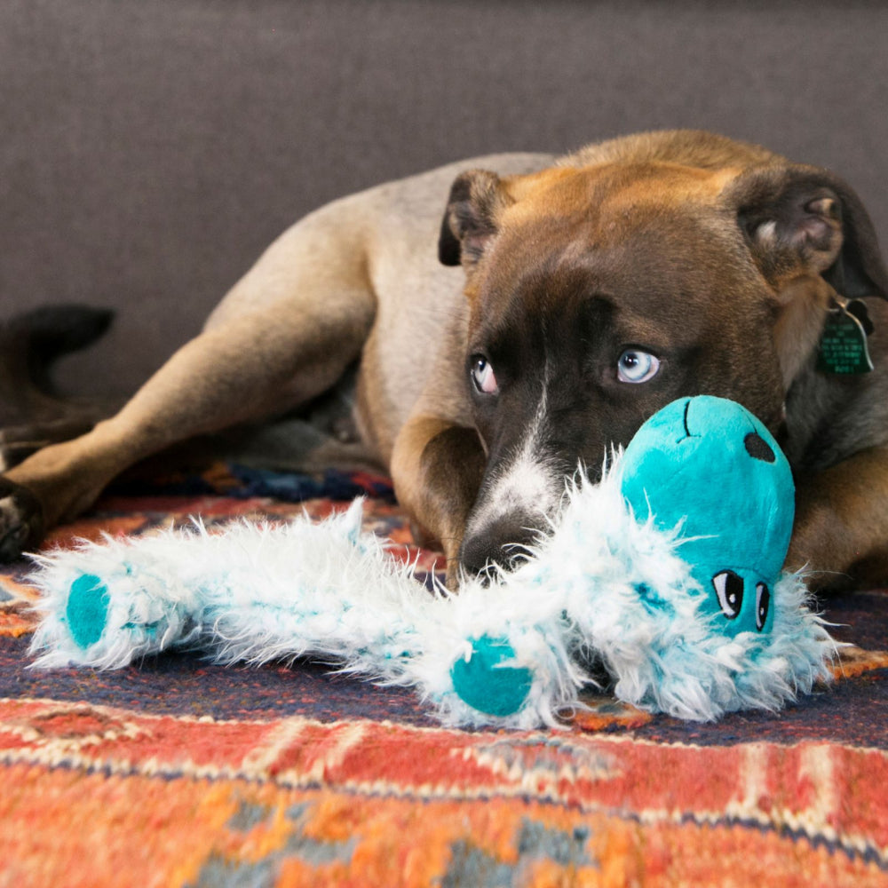 KONG Low Stuff Scruffs Dog Large - Hillbilly House Panthers