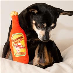 Lulubelles Hot Chihuaua Hot Sauce - Hillbilly House Panthers